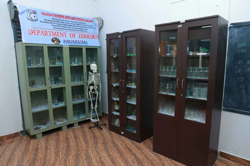 The Department of Zoology museum, with glass cabinets of specimen jars and a human skeleton model.
